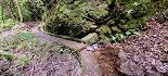 Plants: image 64 Of 208 Thumb